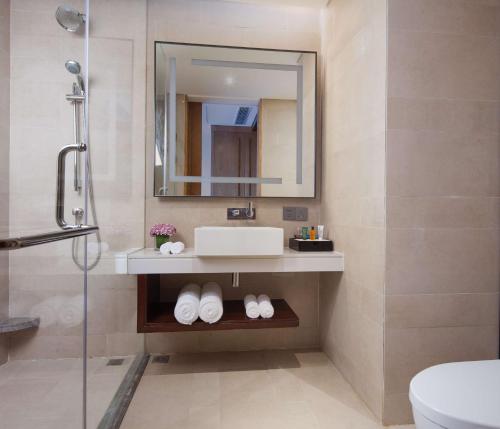香格里拉香格里拉实力希尔顿花园酒店的一间带水槽和镜子的浴室