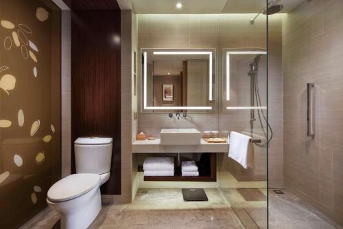 十堰十堰希尔顿花园酒店的浴室配有卫生间、盥洗盆和淋浴。