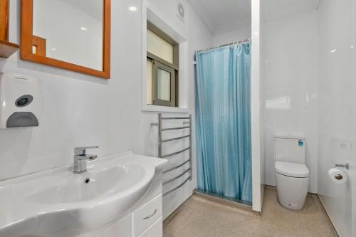 上哈特Remutaka retreat的白色的浴室设有水槽和淋浴。