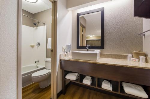 纳什维尔纳什维尔机场红屋顶客栈的一间带水槽、卫生间和镜子的浴室