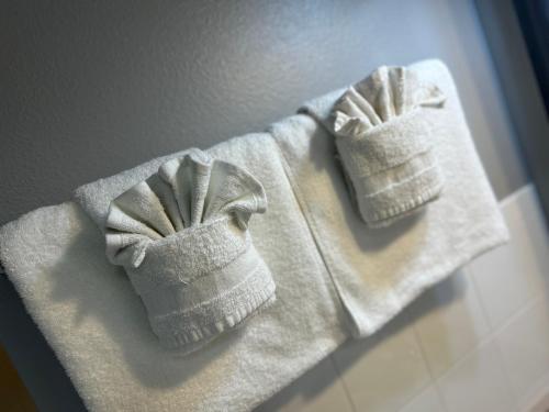 圣徒皮特海滩Sails Resort Motel的两条白色毛巾,坐在柜台上