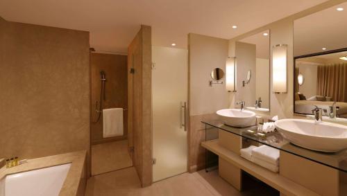 阿格拉阿格拉希尔顿逸林酒店的一间带两个盥洗盆和淋浴的浴室