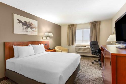 FillmoreQuality Inn & Suites Fillmore I-15的酒店客房配有一张床、一张书桌和一台电视。