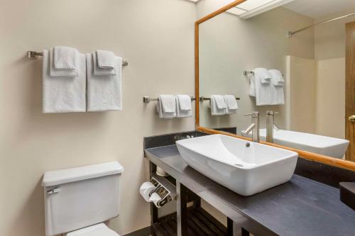 FillmoreQuality Inn & Suites Fillmore I-15的一间带水槽、卫生间和镜子的浴室