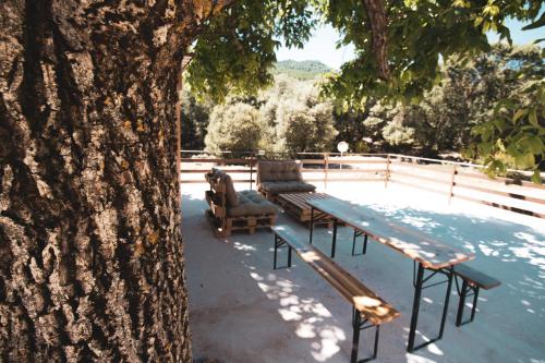 里奥帕尔CASA RURAL EL PADRONCILLO的树旁的野餐桌和椅子