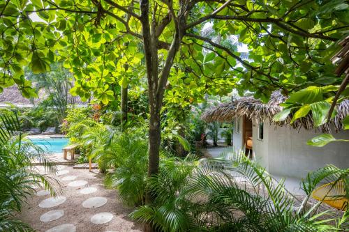 诺萨拉Norte Nosara - Steps to Playa Guiones的热带花园,设有游泳池和树