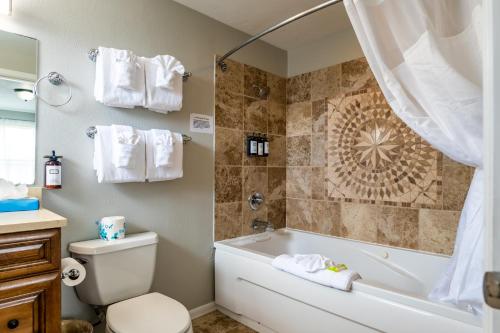 西塞德普洛姆之旅馆的带浴缸、卫生间和盥洗盆的浴室