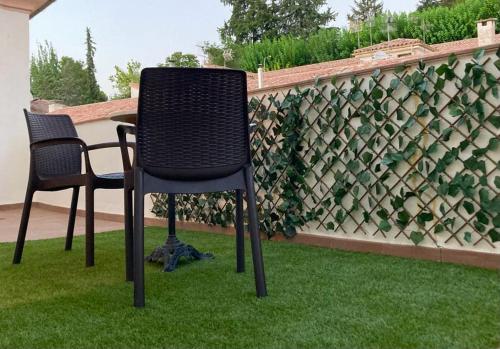 卡索拉塔尔西斯酒店的两把椅子坐在栅栏前的草地上