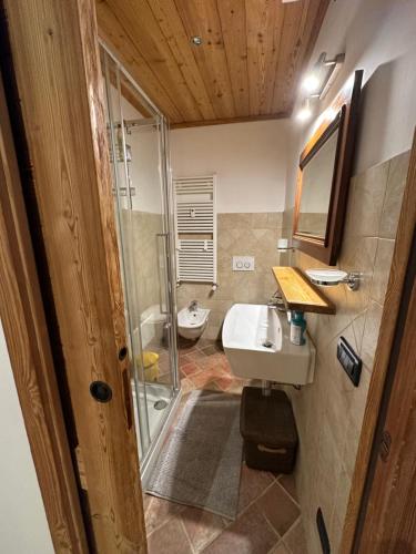 利莫内皮埃蒙特Casa Olivera的浴室配有卫生间、盥洗盆和淋浴。