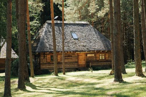 阿达兹古歌思假日公园的森林中间的小木屋