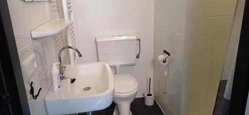 DirkslandDe Snoeperij的白色的浴室设有卫生间和水槽。