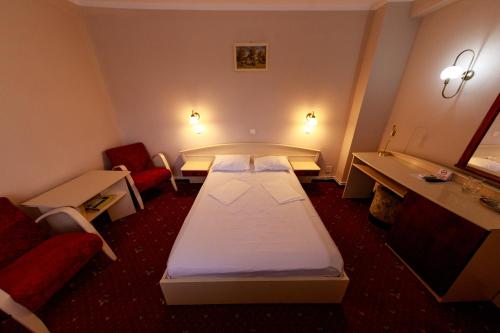 萨图马雷奥罗拉酒店的小酒店客房配有一张床和一把椅子