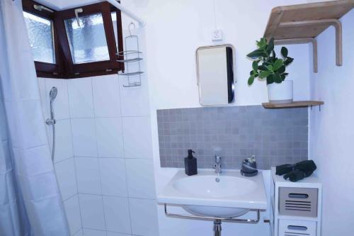 GordevioCasa al Bosco的一间带水槽、镜子和淋浴的浴室