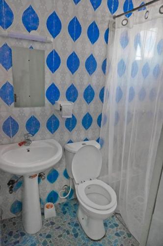 BusiaMipeja Hotel的蓝色和白色的浴室设有卫生间和水槽
