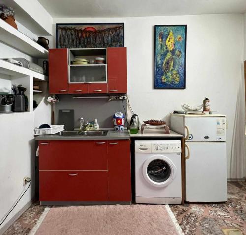 卡赞勒克Стаи за гости Алба的厨房配有水槽和洗衣机