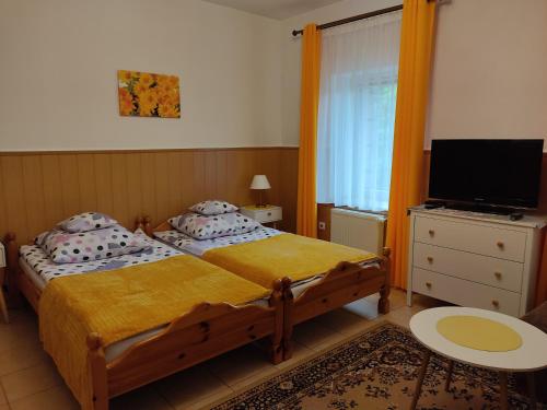 杜什尼基-兹德鲁伊MAGNOLIA Duszniki Zdrój的一间卧室配有一张床和一台平面电视