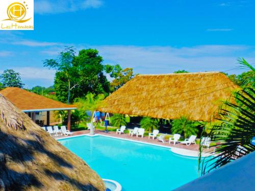 拉塞瓦哈马卡斯酒店的一个带游泳池和茅草屋顶的度假胜地