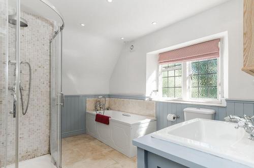奇平卡姆登Robin Cottage的带淋浴、卫生间和盥洗盆的浴室