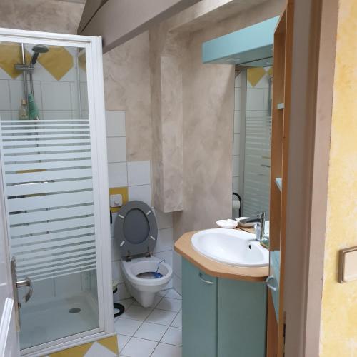 拉布雷德Chambre 1的一间带卫生间和水槽的小浴室