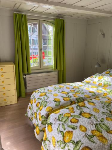 OberburgB&B tannen124的一间卧室设有床铺和一个带绿色窗帘的窗户。