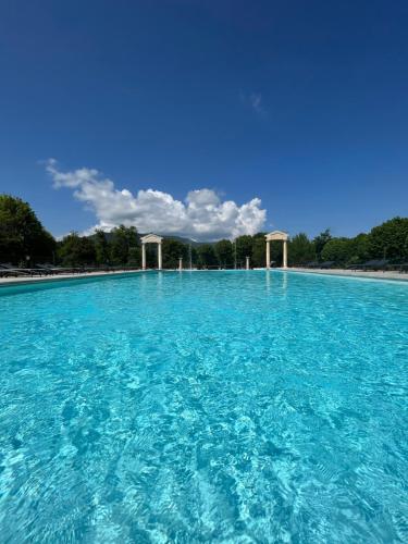 蒙布兰莱班Mont Ventoux-Chateau Gipieres app nr 9的一大片蓝水,有树在背后