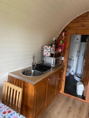 霍利韦尔Acorns Luxury Glamping的一个小房子里一个带水槽的厨房