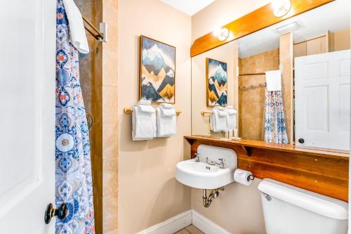 斯托Stowe Mountain Road Escape的一间带水槽和卫生间的浴室