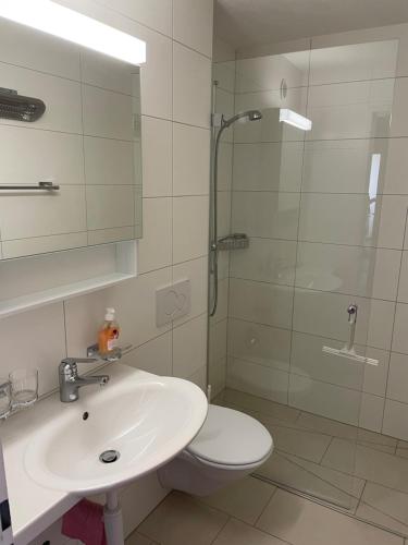 SarnLescha C2C的浴室配有卫生间、盥洗盆和淋浴。