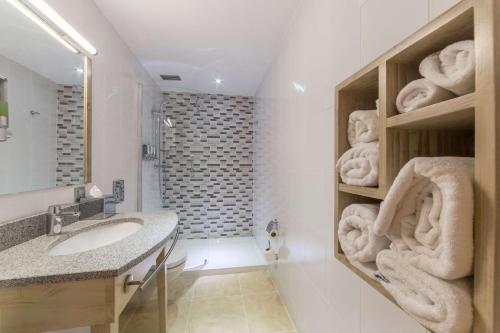 雅西欧罗巴酒店的浴室配有盥洗盆、淋浴和毛巾