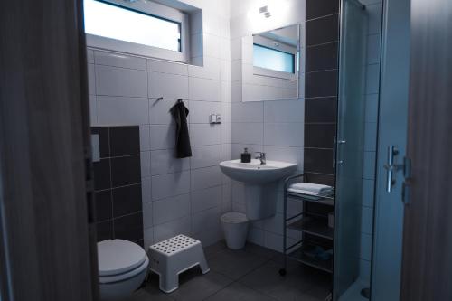 VrbicePenzion u Hošků的一间带卫生间和水槽的浴室