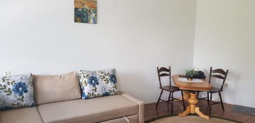 格但斯克BudgetStay in Gdańsk的客厅配有沙发和桌子
