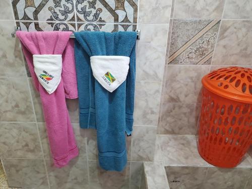 尼格瑞尔Fay Guest House的浴室里挂着一排毛巾