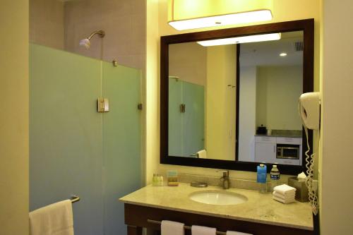 卡门城希尔顿休达德尔卡门汉普顿酒店的一间带水槽和大镜子的浴室