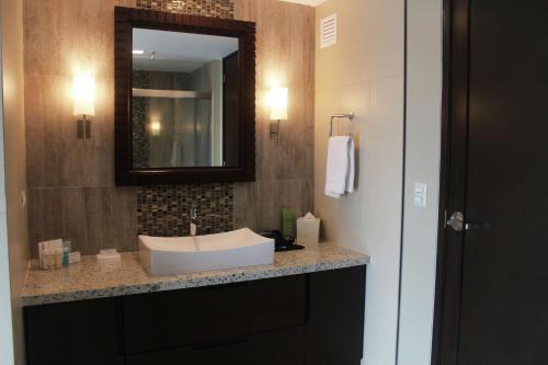比亚埃尔莫萨希尔顿比亚埃尔莫萨汉普顿酒店的一间带水槽和镜子的浴室