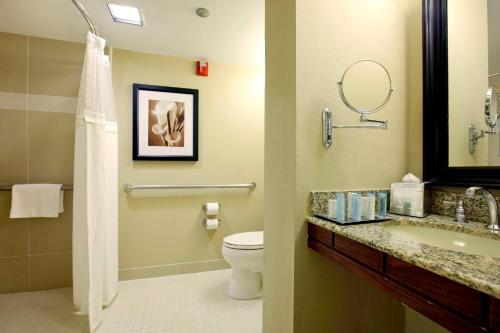 奥兰多奥兰多希尔顿布纳维斯塔酒店 - 迪斯尼泉™区的浴室设有卫生间和带镜子的盥洗盆