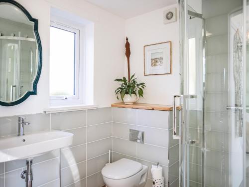 罗厄德南Strathcashel Cottage的一间带卫生间、水槽和镜子的浴室
