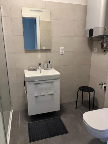 德尔内夫奥里克Ubytování U Potoka的浴室配有白色水槽和卫生间。