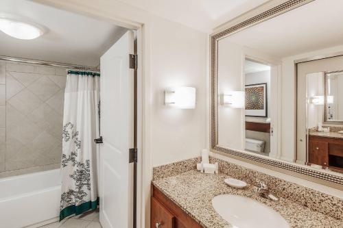 奥兰多奥兰多机场原住客栈的一间带水槽和大镜子的浴室