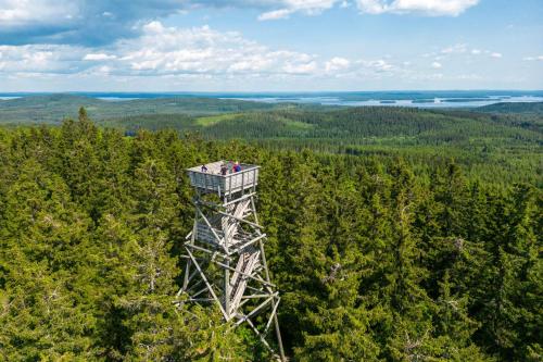 科林基拉Break Sokos Hotel Koli Kylä的森林中间的观察塔