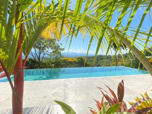 曼努埃尔安东尼奥Casa Libertinn的透过一些棕榈树欣赏游泳池的景色