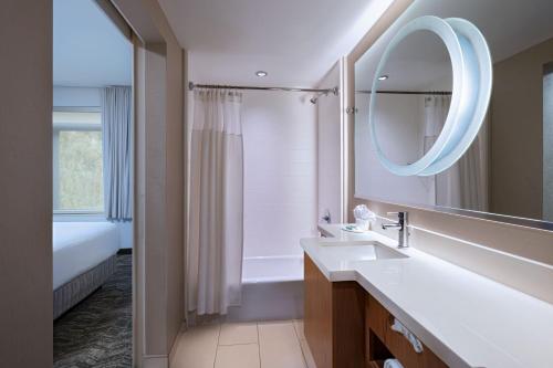 安纳海姆万豪阿纳海姆春季山丘套房酒店的一间带水槽和镜子的浴室