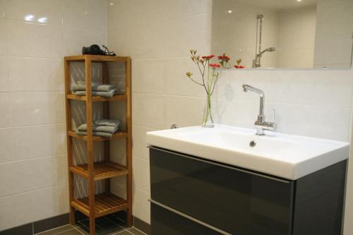 BaaiduinenIt Bûthús的浴室设有水槽和带毛巾的架子。