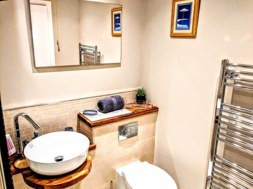 特维德上游的贝里克18 Mill Wharf Apartment的一间带水槽、镜子和卫生间的浴室