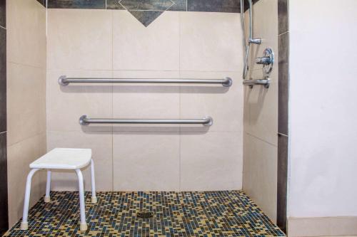 亨博尔杭博/休斯敦洲际机场戴斯酒店的浴室内设有带白色凳子的淋浴