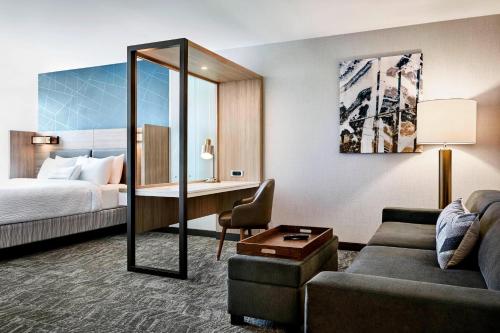 帕克SpringHill Suites Denver Parker的配有一张床和一张书桌的酒店客房