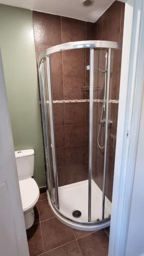 诺丁汉Studio Flat的带淋浴和卫生间的浴室
