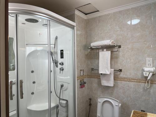 卢萨卡Grand Palace Hotel Lusaka的带淋浴和卫生间的浴室