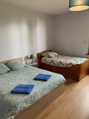 Beaubec-la-RosièreChambres d'hôtes的卧室内的两张床,配有蓝色毛巾