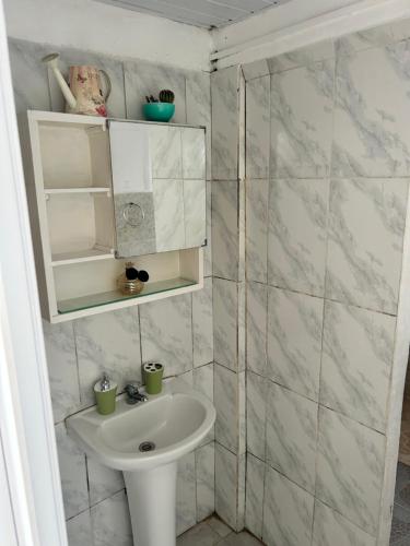弗赖本托斯APART PELUSA的白色的浴室设有水槽和淋浴。