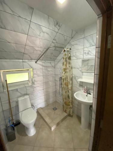 科松Гостьовий Будинок Косонь的一间带卫生间和水槽的浴室